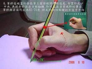 成人握笔教程图解大全视频,轻松掌握正确握笔姿势
