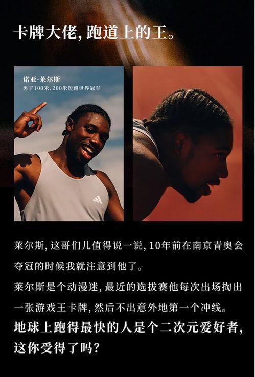 成人格斗视频文案素材,实战视频深度解析