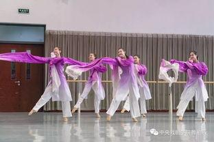 弥勒成人古风舞蹈视频教学,成人古风舞蹈视频教学解析