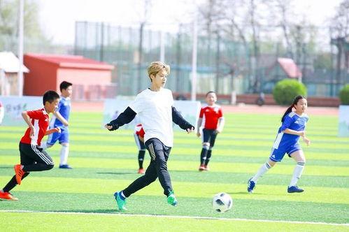 成人踢球视频教学大全,成人踢球视频教学大全精华汇总