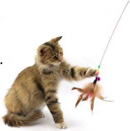 陪猫玩具成人教程视频,打造专属猫咪乐园