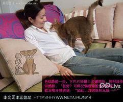 成人mm视频在线观看,在线观看的私密世界揭秘