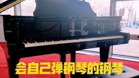 成人怎样弹钢琴视频,跟随视频教程轻松掌握成人钢琴弹奏技巧