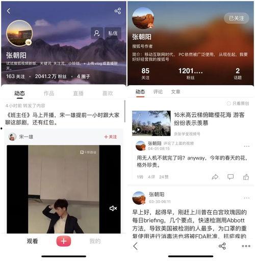 成人业余古筝比赛提交视频,业余高手同台竞技,精彩瞬间回顾