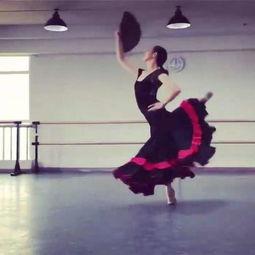 成人舞蹈剧目教程视频,成人舞蹈剧目教程视频精华解析