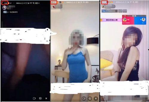 主播视频网站成人,娱乐与争议并存的世界