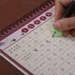成人练字帖带视频的